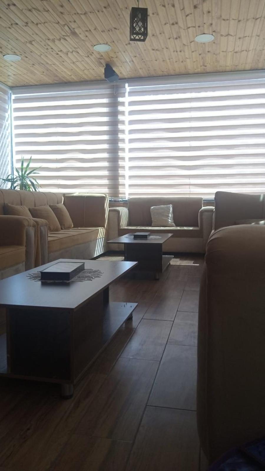 Petra Cabin Hostel وادي موسى المظهر الخارجي الصورة