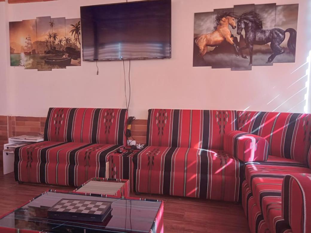 Petra Cabin Hostel وادي موسى المظهر الخارجي الصورة